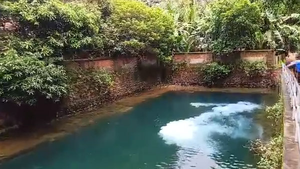 amoebic encephalitis