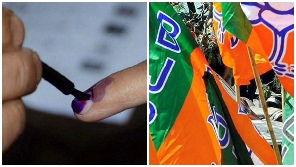 Exit Polls Results 2024 Exit Polls Results 2024