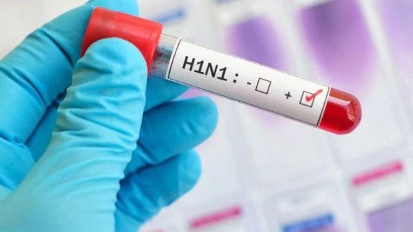 h1n1alappuzha h1n1alappuzha