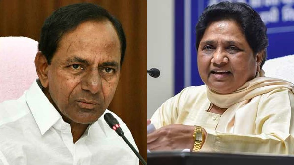 exit-poll-results exit-poll-results