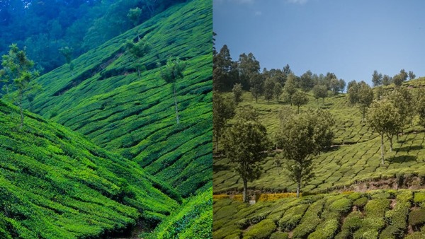 munnar-gap-road-2