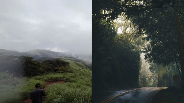 ranipuram-monsoon-trekking