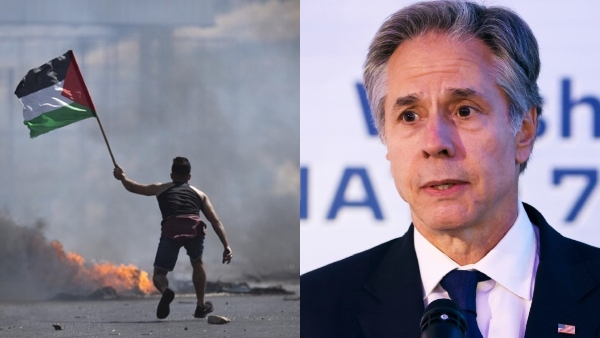 uae-participate-gaza-force