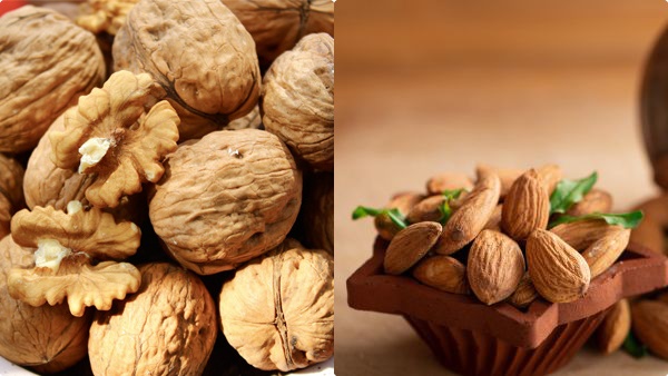 almond-diet almond-diet
