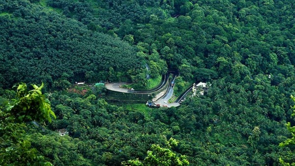 wayanadtourismissue