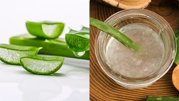 aloe-vera-benefits