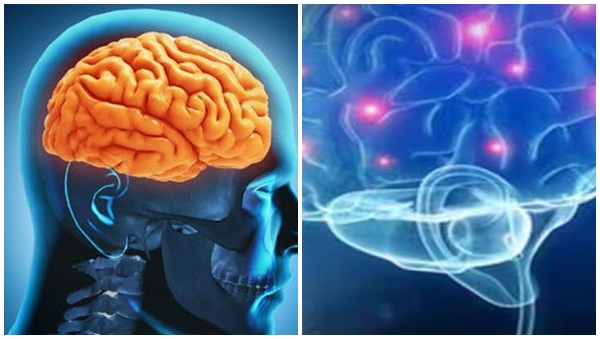 Anoebic Encephalitis