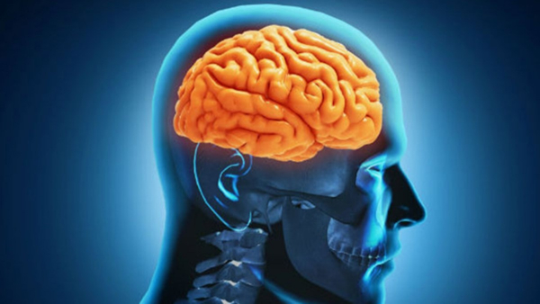 ameobicfever ameobicfever