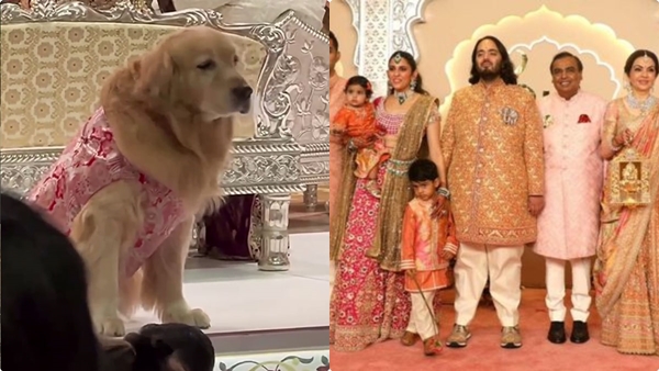 anant-ambani-dog anant-ambani-dog