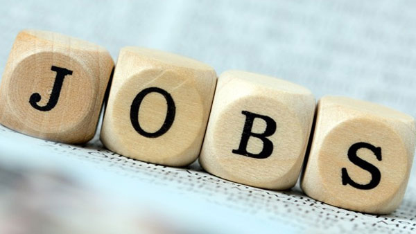 Job News