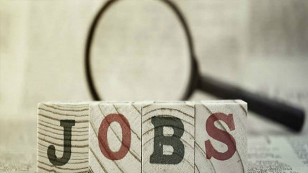 Job News