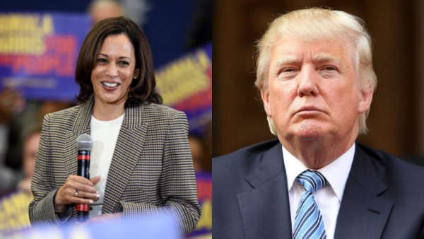 trumpandkamalaharrissurvey