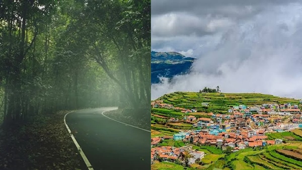 oottymain- oottymain-