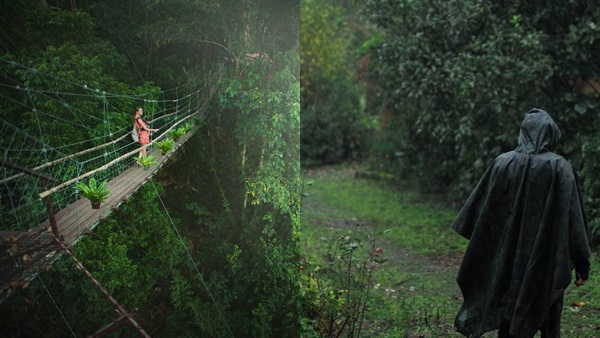 rainwalk-