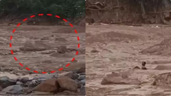 wayanad-landslide