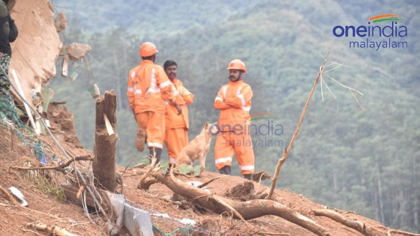 Landslide