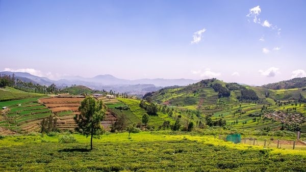 coonoorhills coonoorhills