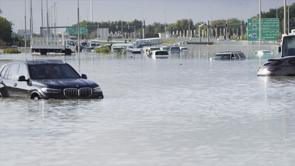 UAE News
