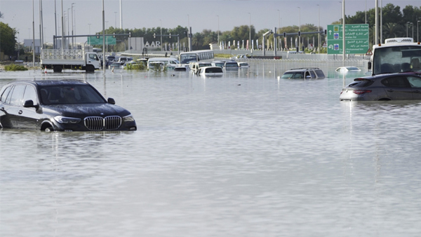 UAE News