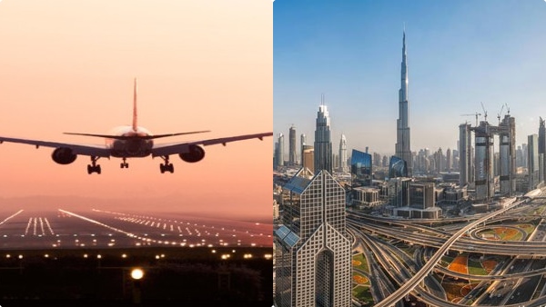 uae-amnesty