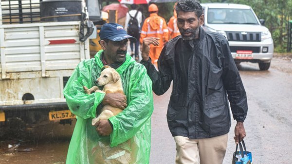 wayanad-dog-