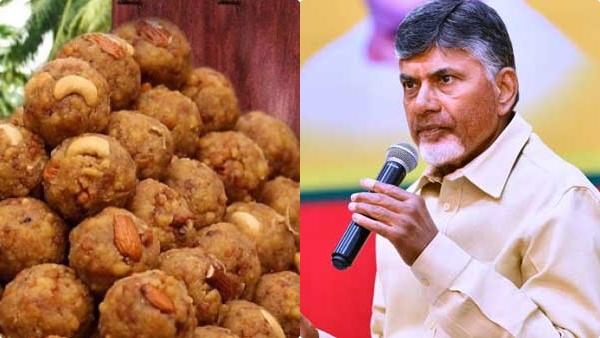 tirupathi-laddoo