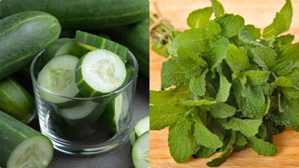 cucumber-benefts