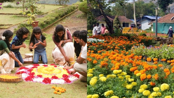 onamflowes2024