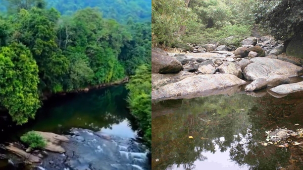 janakikkaduandperuvannamuzhi