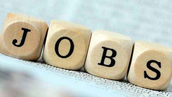 Job News