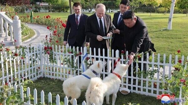 kim-jong-un kim-jong-un