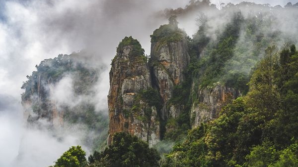 kodaikanaltourism kodaikanaltourism