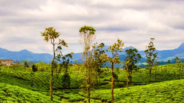 valaparaitour valaparaitour