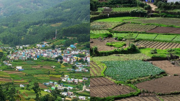 vattavadaidukkitourism vattavadaidukkitourism