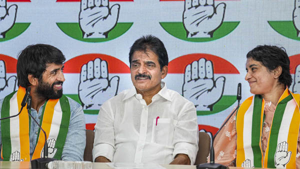 haryana assembly election 2024