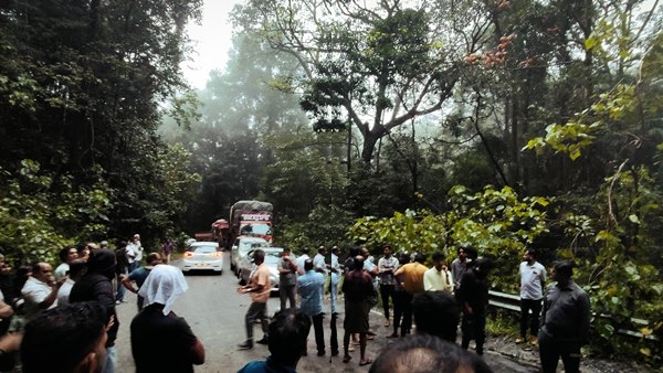 wayanad2