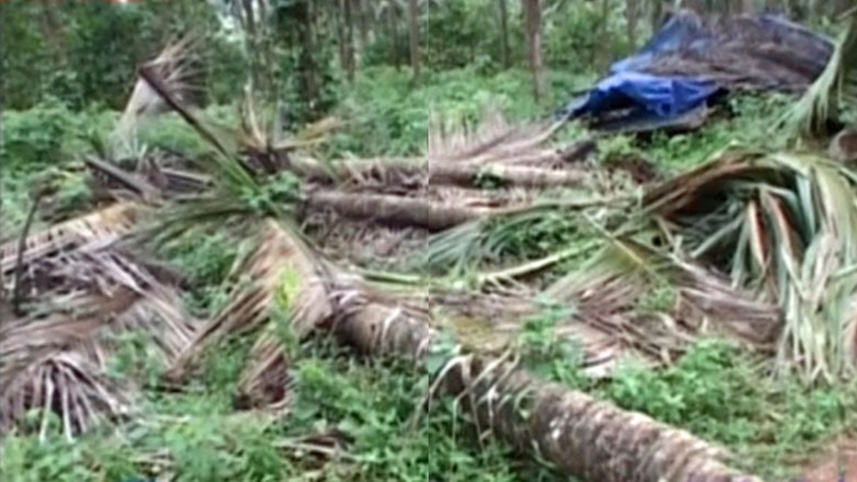 aralamfarmnews-17 aralamfarmnews-17