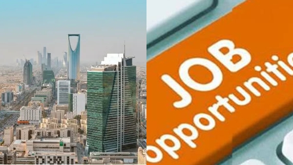 jobnew jobnew