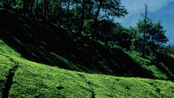 kolukkumalaitourismnew