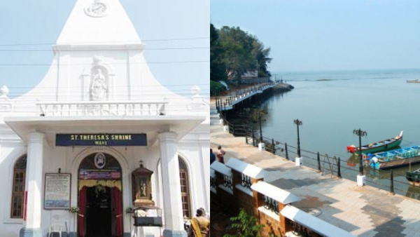 mahepalliperunnalne mahepalliperunnalne