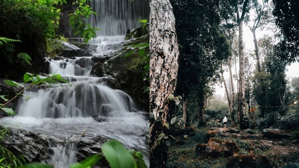 wayanad-
