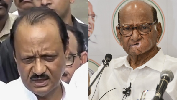 maharasthra-election-2024 maharasthra-election-2024