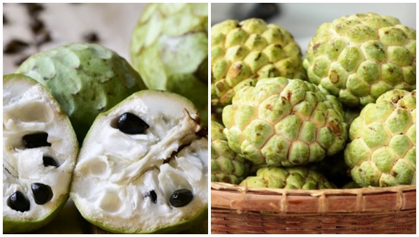 custard apple