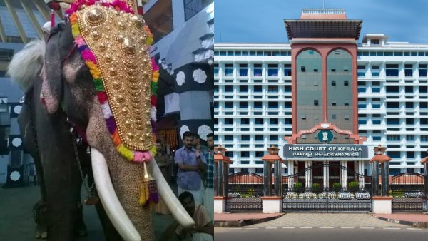 elephantprocessionkeralahcorder