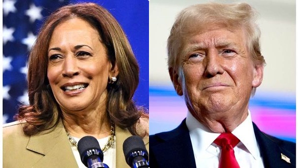 us-election-2024