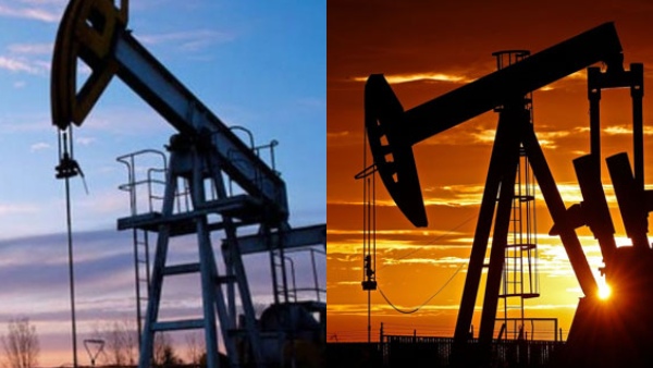 india oil import data