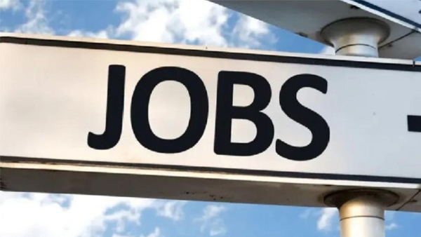 Job News Job News
