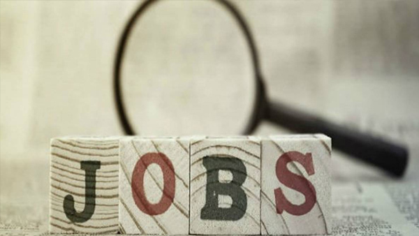 Job News