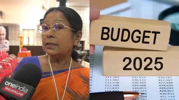budget2025marygeroge