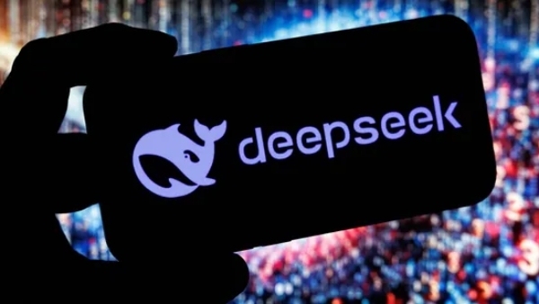 deepseek-